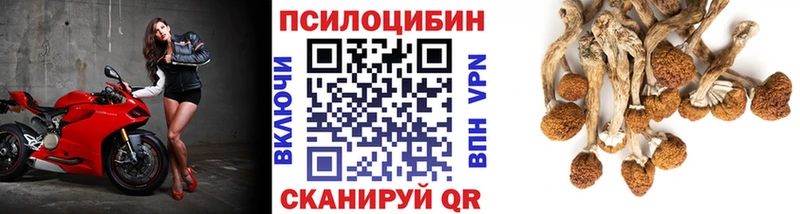 omg ссылка  как найти   Ногинск  Псилоцибиновые грибы MAGIC MUSHROOMS 